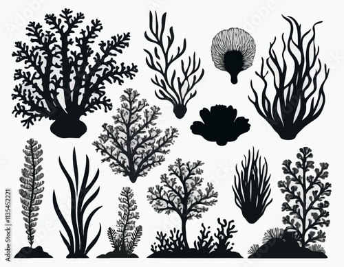 Set of sea corals and seaweed black silhouette. Aquarium plants, underwater ocean flora, algae. Vector illustration isolated on white background.
