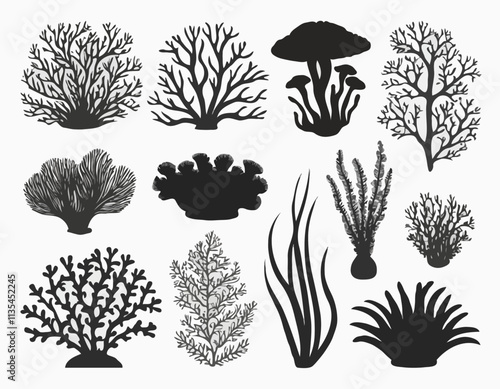 Set of sea corals and seaweed black silhouette. Aquarium plants, underwater ocean flora, algae. Vector illustration isolated on white background.