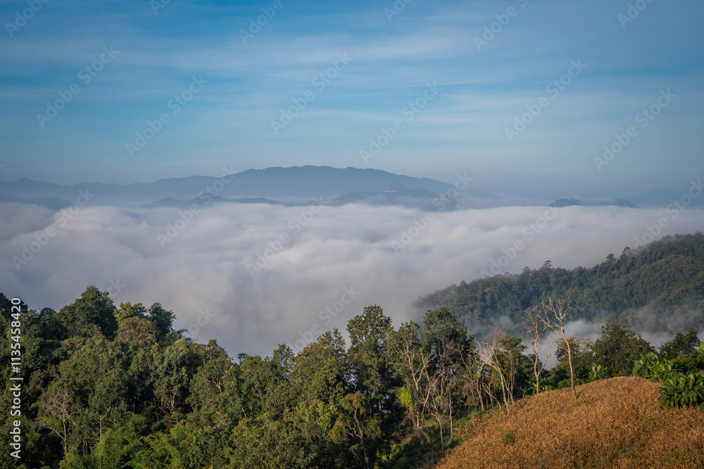 tourist come to see very beautiful fog lake in the morning on the mountain village mae taeng chiangmai thailand tourist come to see very beautiful fog lake in the morning on the mountain village mae taeng chiangmai thailand