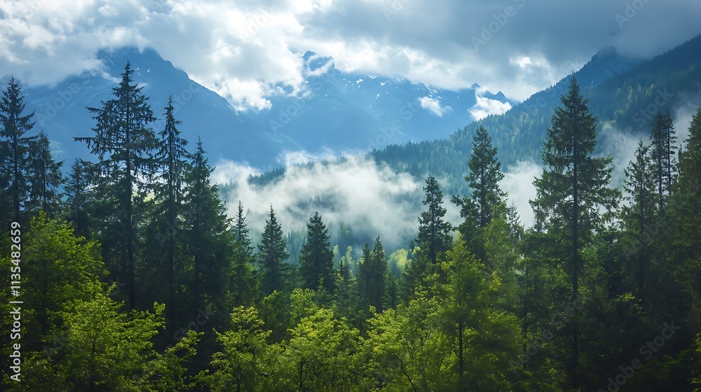 Fototapeta premium Majestic Mountain Forest Landscape. Concept of Nature, Serenity, and Wilderness.