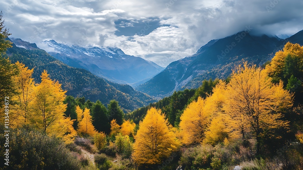 Autumnal Mountain Valley with Golden Aspen Trees. Scenic Landscape. Autumnal Mountain Valley with Golden Aspen Trees. Scenic Landscape.