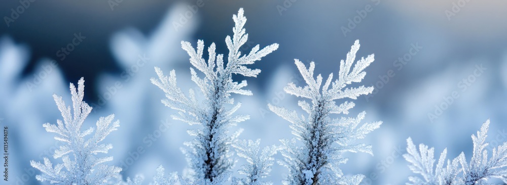 Frost crystals on plant, macro. Frost crystals on plant, macro.