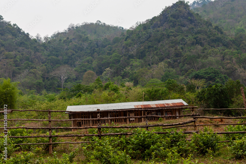 Hmong village, Luang Prabang Mountains, Laos Hmong village, Luang Prabang Mountains, Laos