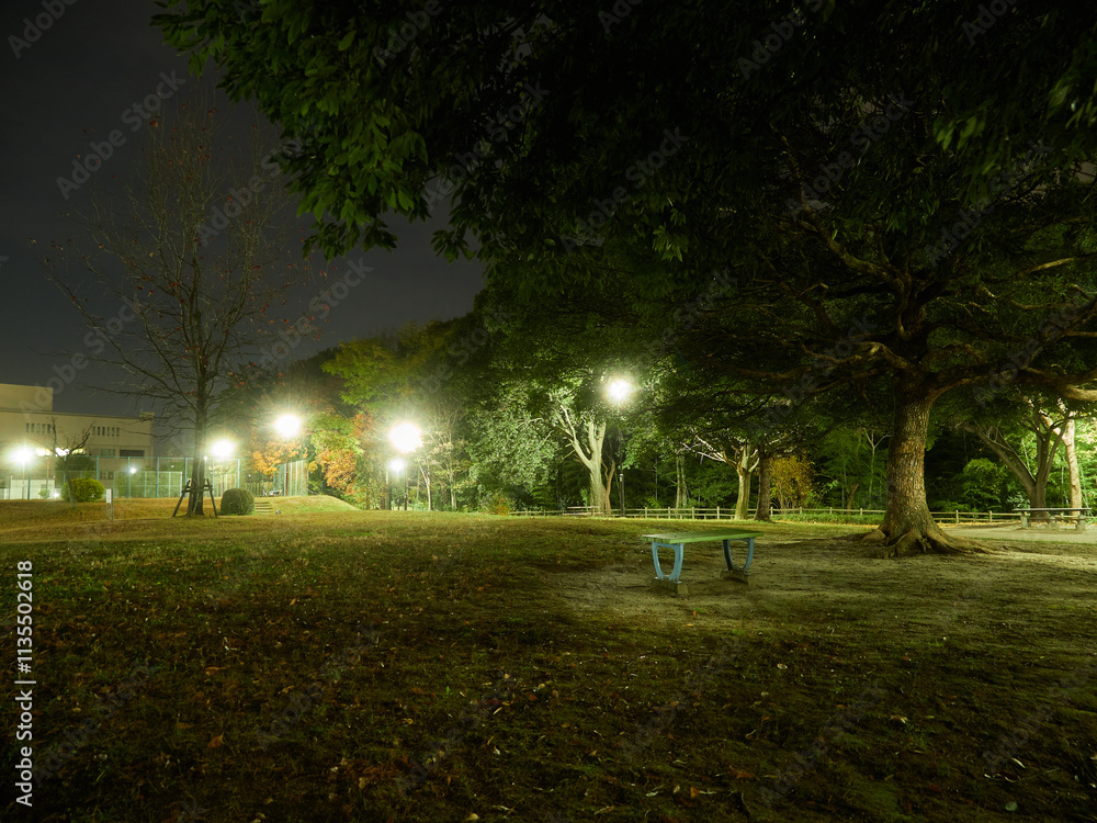 Obraz premium 冬の夜の静かな公園の森の風景