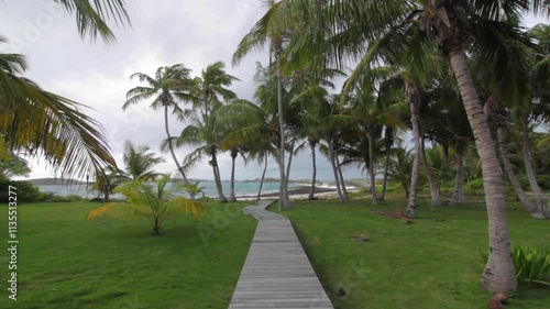 Beautiful path to the ocean lined by palm trees in the Bahamas. photo