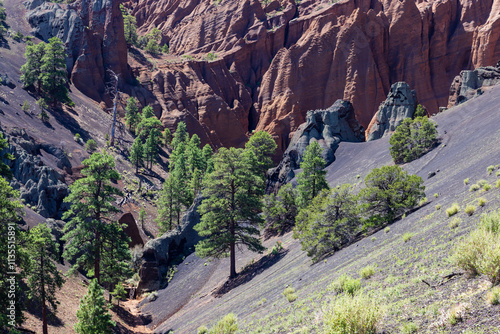 Red Mountain Trail in the Coconino National Forest near Flagstaff, Arizona.