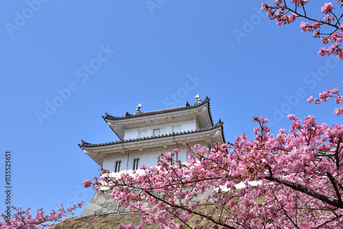 お城と桜 photo