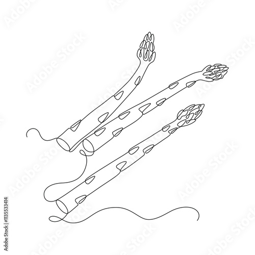 Asparagus drawn in continuous line in minimalism, delicatessen plant, stems of herbs and semi-shrubs, one line, editable vector contour