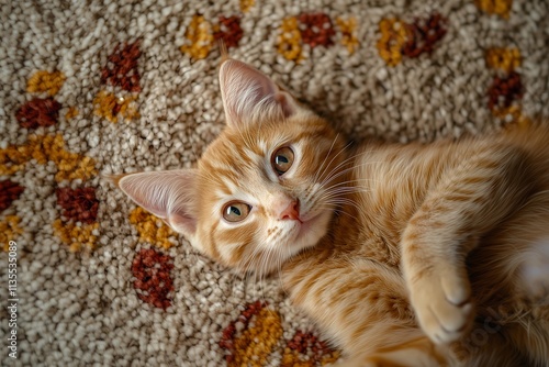 Adorable Ginger Cat Lying on Cozy Carpet with Beautiful Textures and Patterns photo