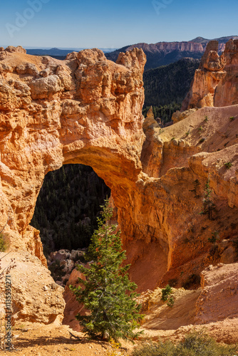 The Natural Bridge formed from limestone seen between Farview Point and Agua Canyon. Bryce Canyon National Park, Utah. photo