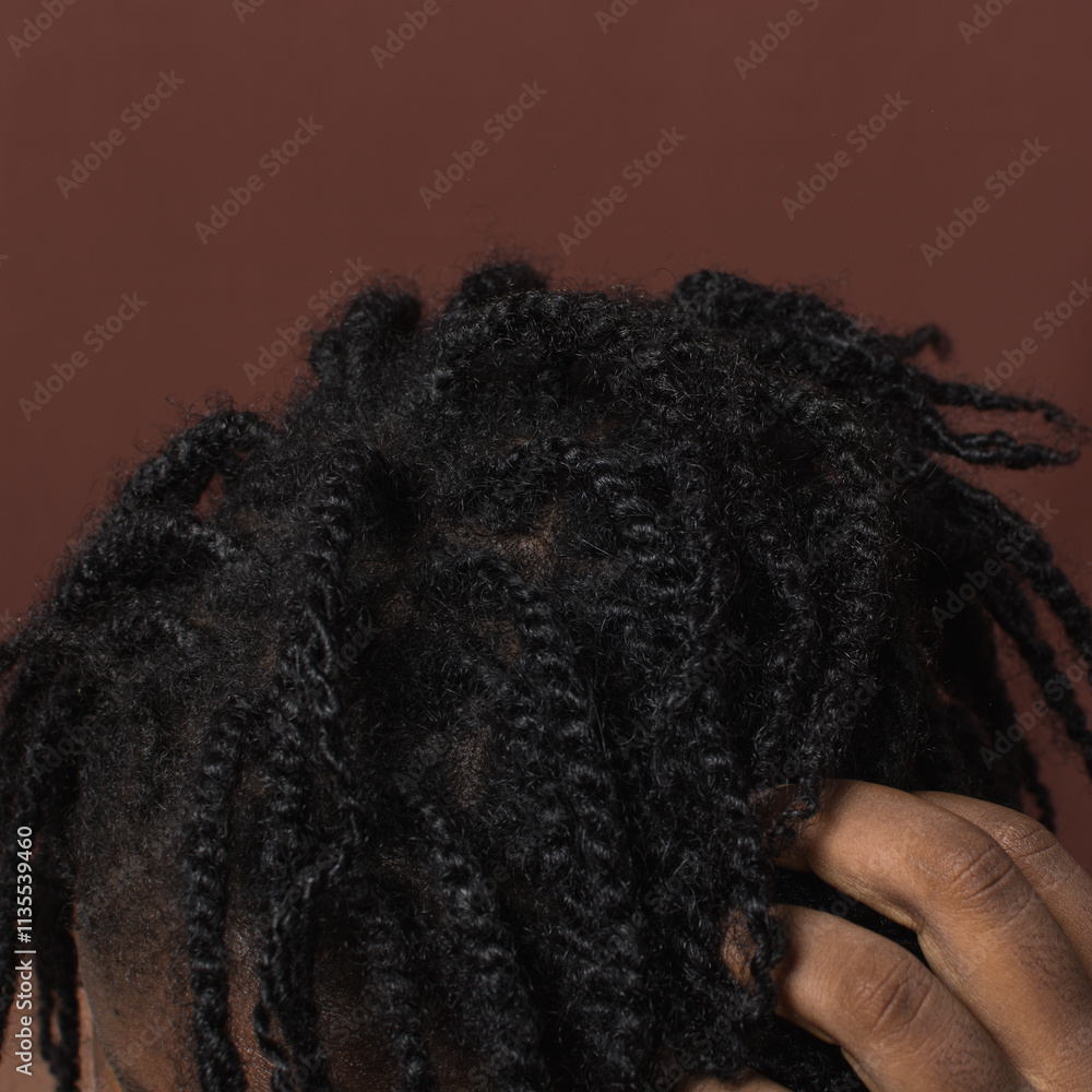 mini twists protective style on 4c afro hair,frizzy mini twists on curly hair mini twists protective style on 4c afro hair,frizzy mini twists on curly hair