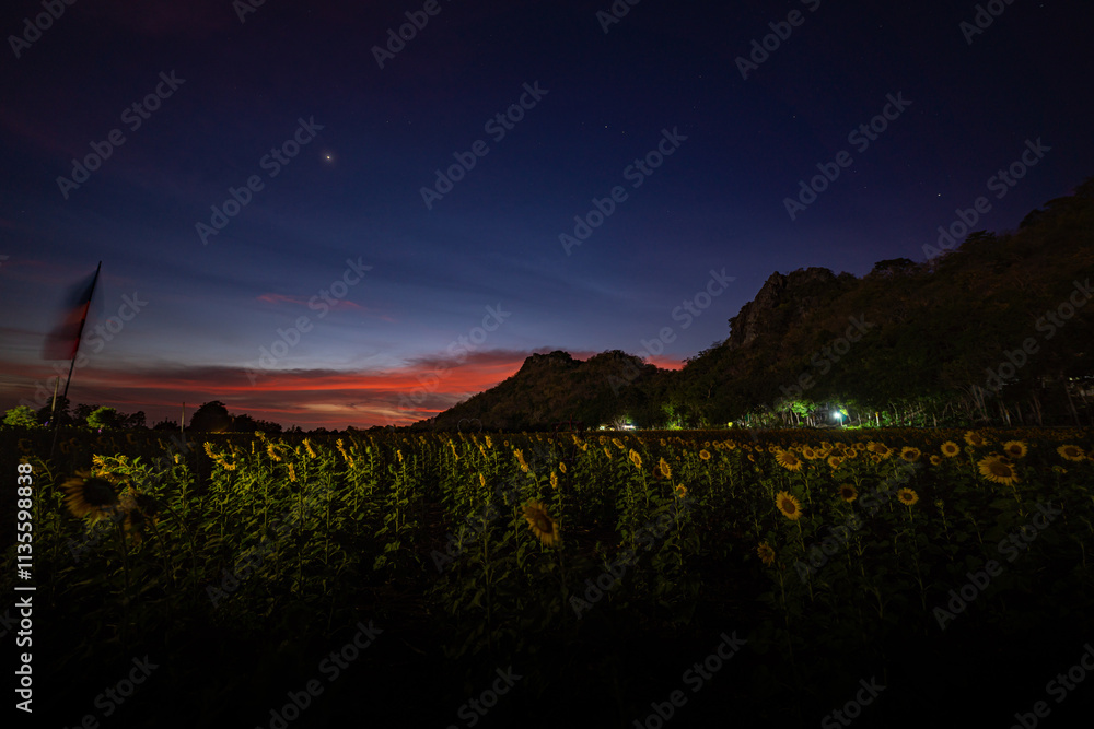A vibrant scene featuring a glowing Buddhist temple nestled on a hill, with a sprawling sunflower field in the foreground under a beautiful sky in sunset. The contrast of beauty sunset and flowers A vibrant scene featuring a glowing Buddhist temple nestled on a hill, with a sprawling sunflower field in the foreground under a beautiful sky in sunset. The contrast of beauty sunset and flowers