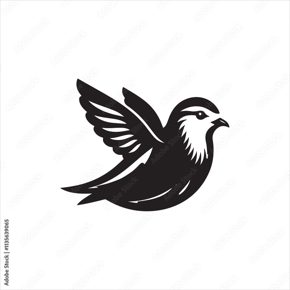 dove on white dove on white