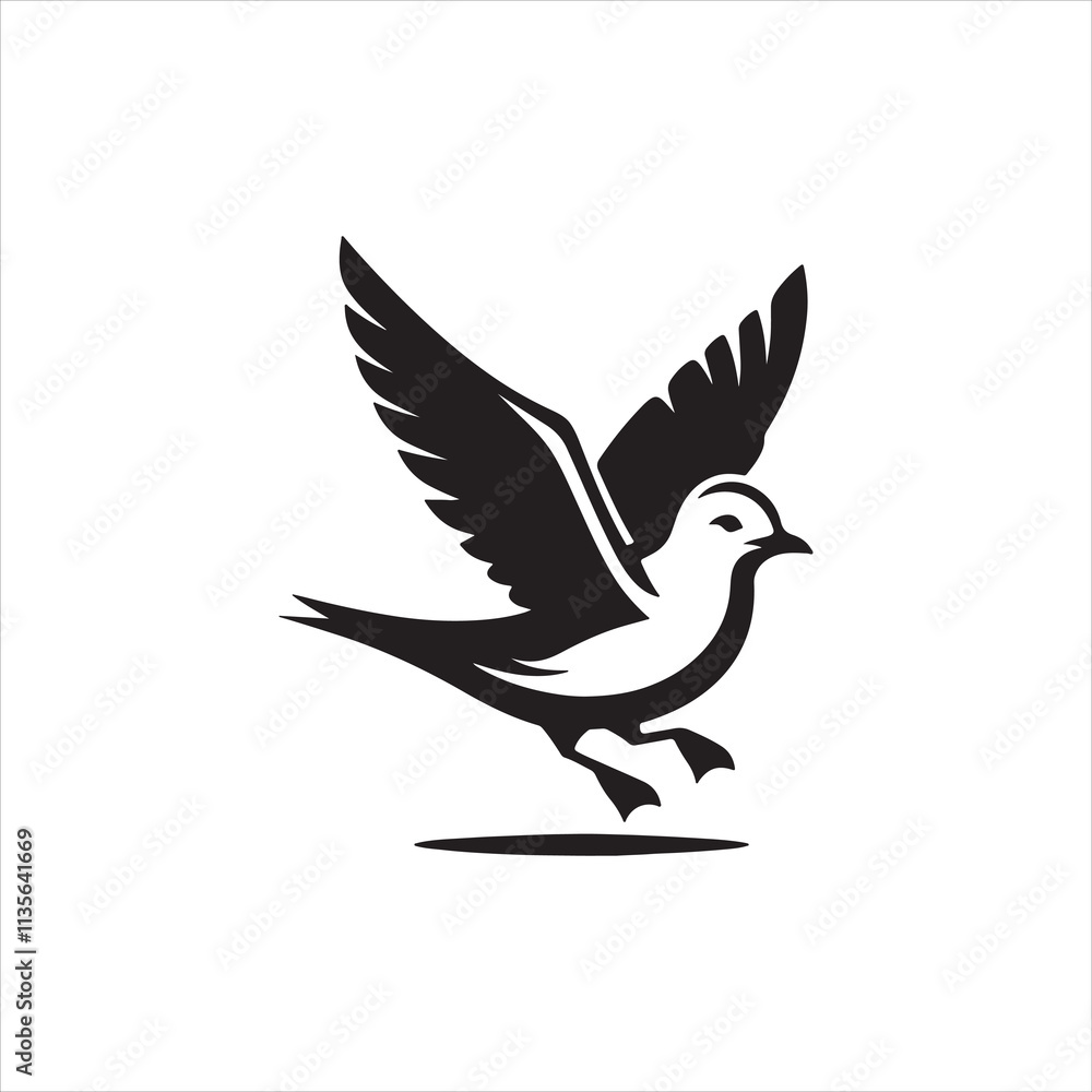 dove of peace dove of peace