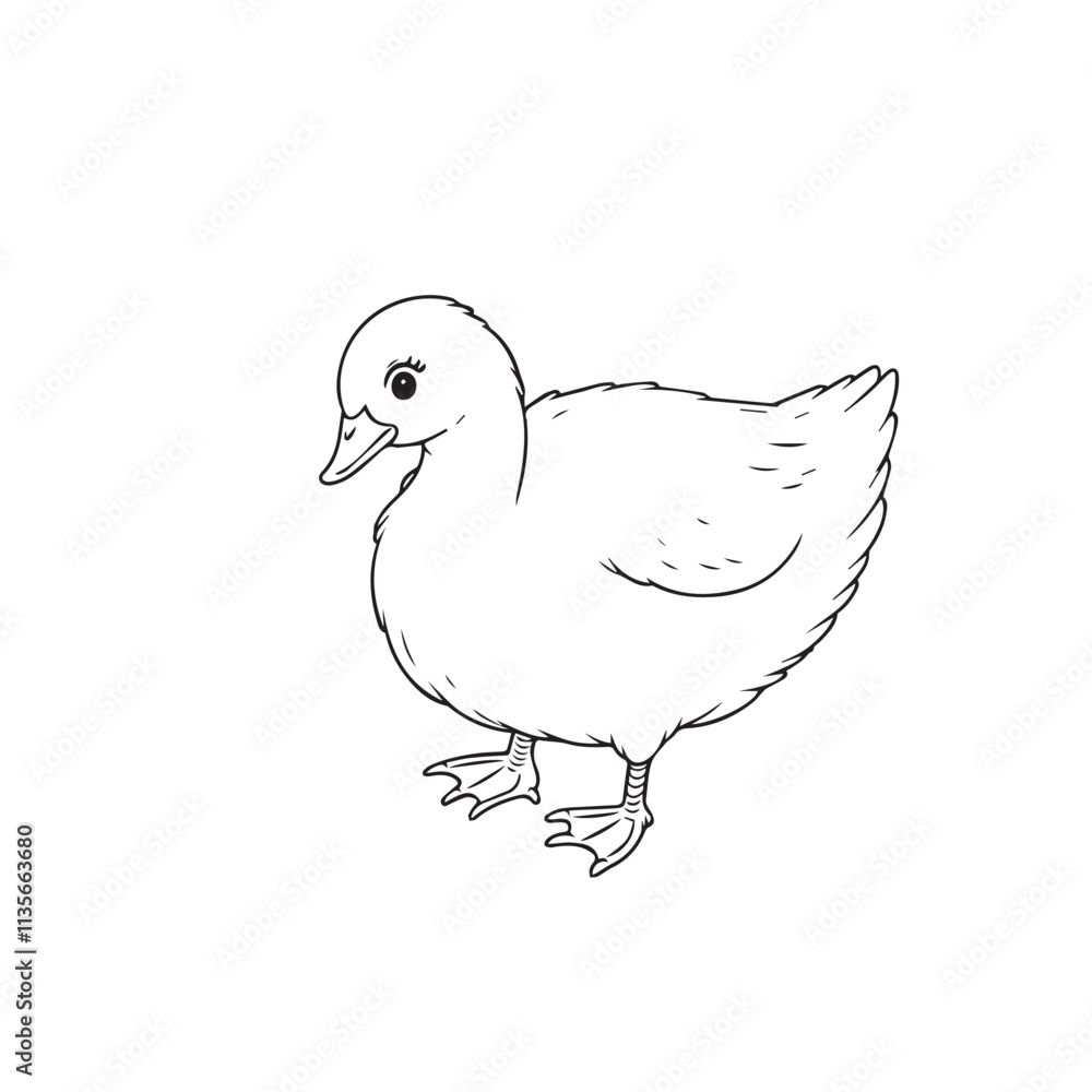Goose line art vector on white backgroun Goose line art vector on white backgroun