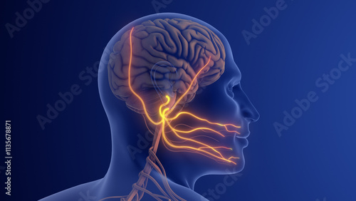 Trigeminal Neuralgia Causing Severe Facial Nerve Pain