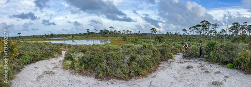 Camp Murphy MBT (Mountain Bike Trail) at Jonathan Dickinson State Park, Florida photo