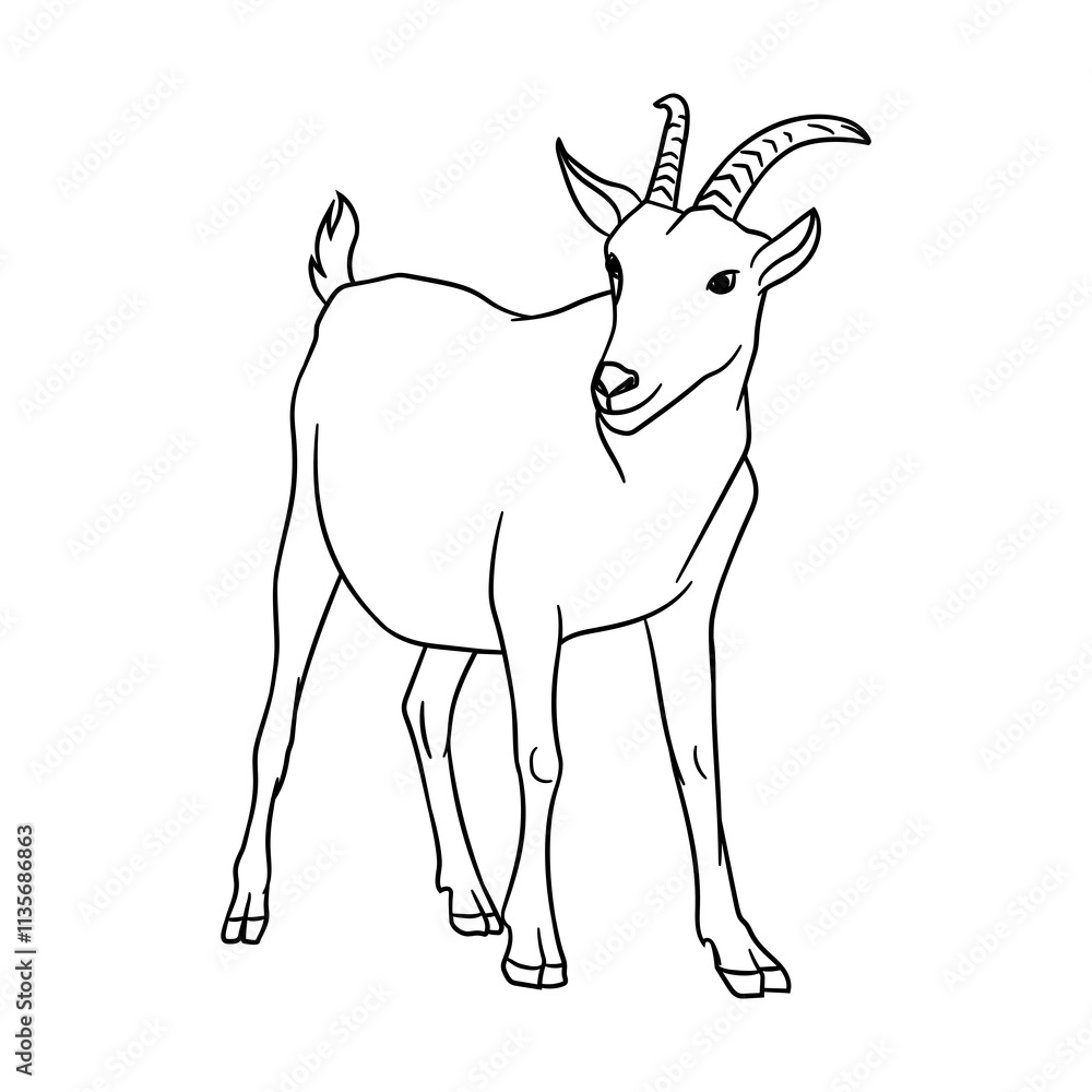 Fototapeta premium Goat with horns thin line illustration