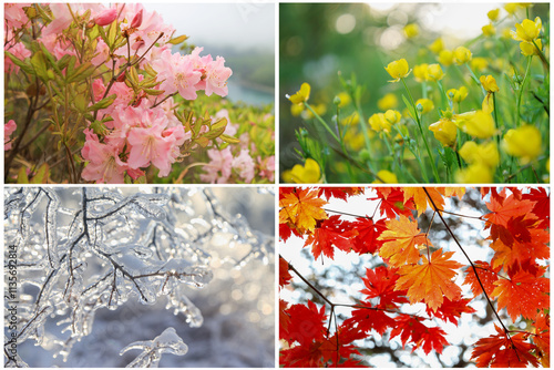 collage of four seasons