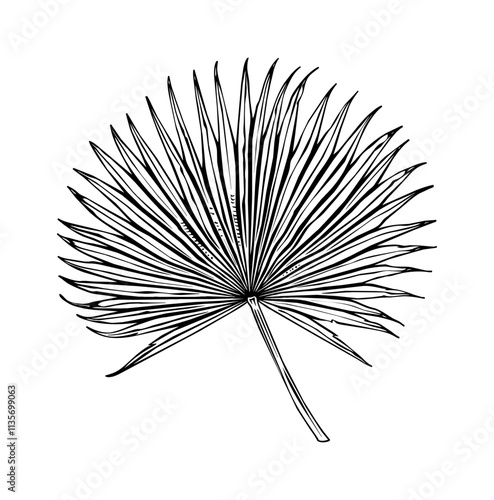palmetto fan engraving black and white outline