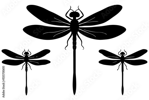 dragon fly insect silhouette art.