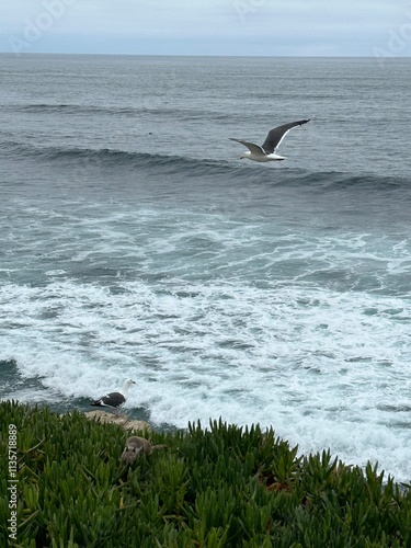 A seagull soars above the crashing waves of the ocean, while another rests on the rocks below, and a squirrel explores the coastal vegetation.