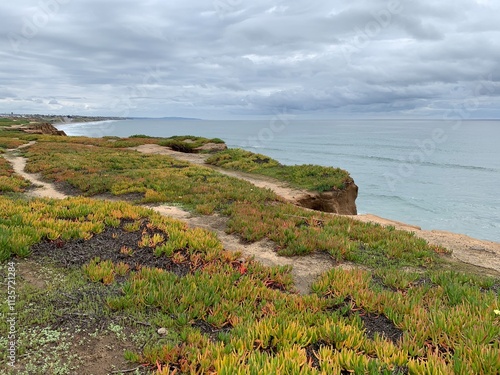 A scenic coastal path winds through a landscape of vibrant green and orange ice plants, with the ocean and cloudy sky stretching out in the distance.