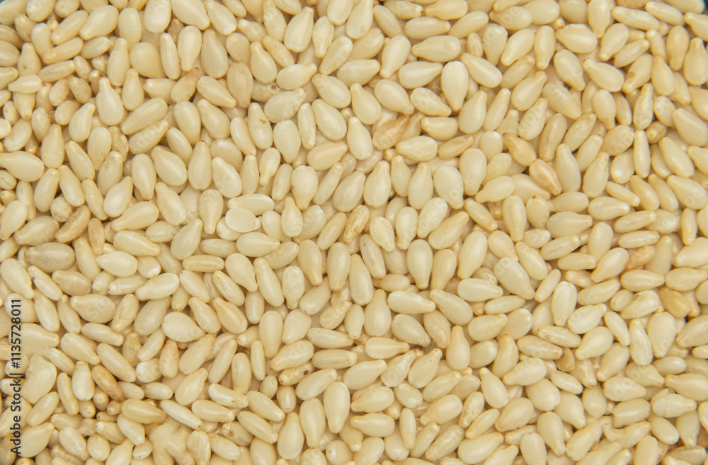 Sesame, food, ingredients, catering, ordering, menu, restaurant, white sesame, granules, texture, texture, material, ordering, design elements, vector, graphics, takeaway, sesame paste, nutrition Sesame, food, ingredients, catering, ordering, menu, restaurant, white sesame, granules, texture, texture, material, ordering, design elements, vector, graphics, takeaway, sesame paste, nutrition