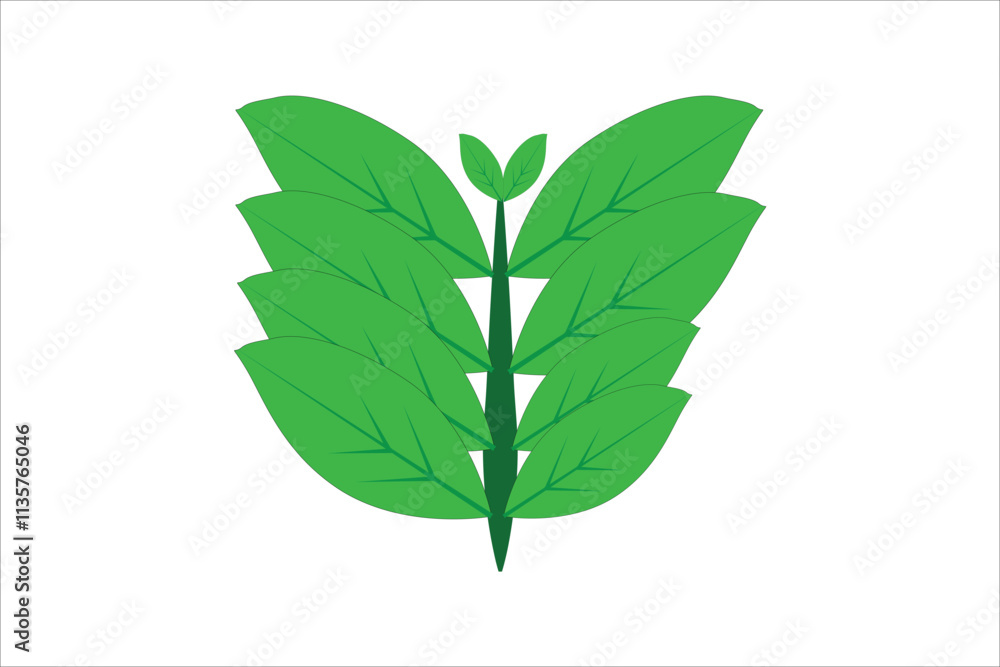 green leaf vector green leaf vector