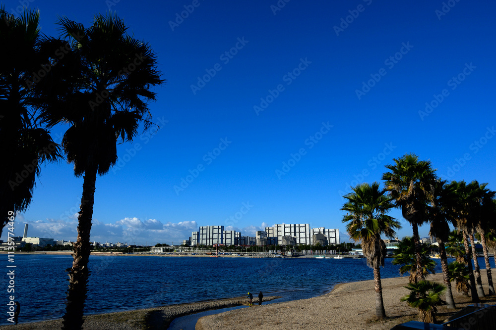 Fototapeta premium ヤシの木のある海岸 西宮市香櫨園の御前浜公園にて