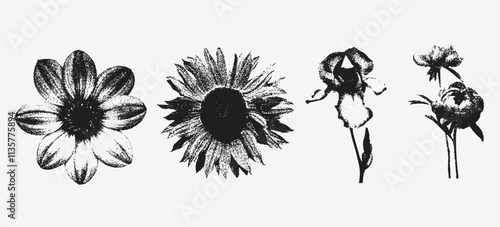 Halftone stipple effect with flowers  with retro photocopy stipple effect