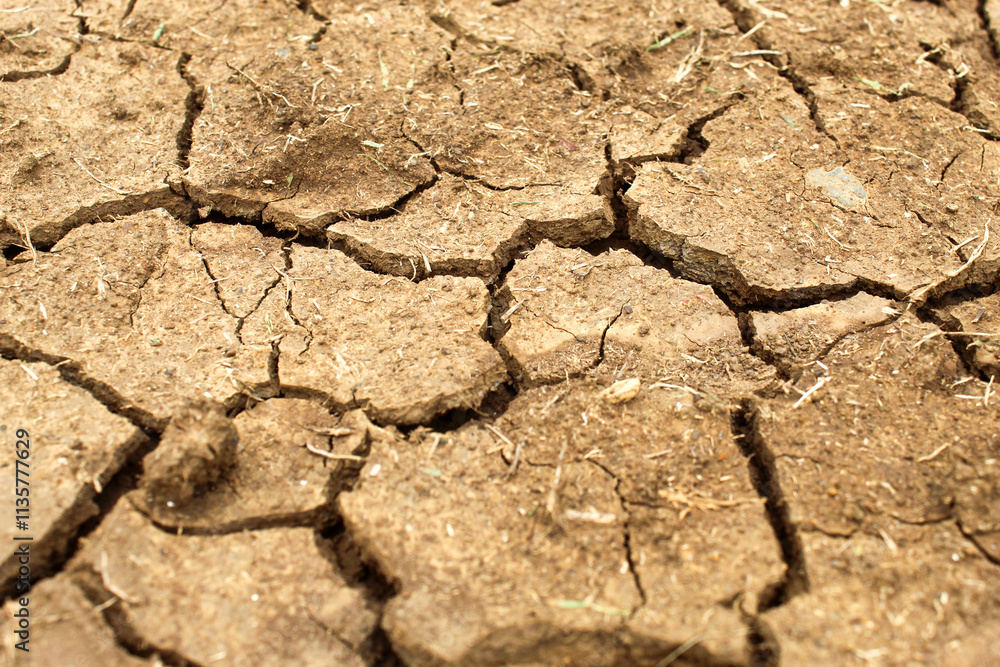 Fototapeta premium Dry soil texture is cracked. cracked pattern on the soil