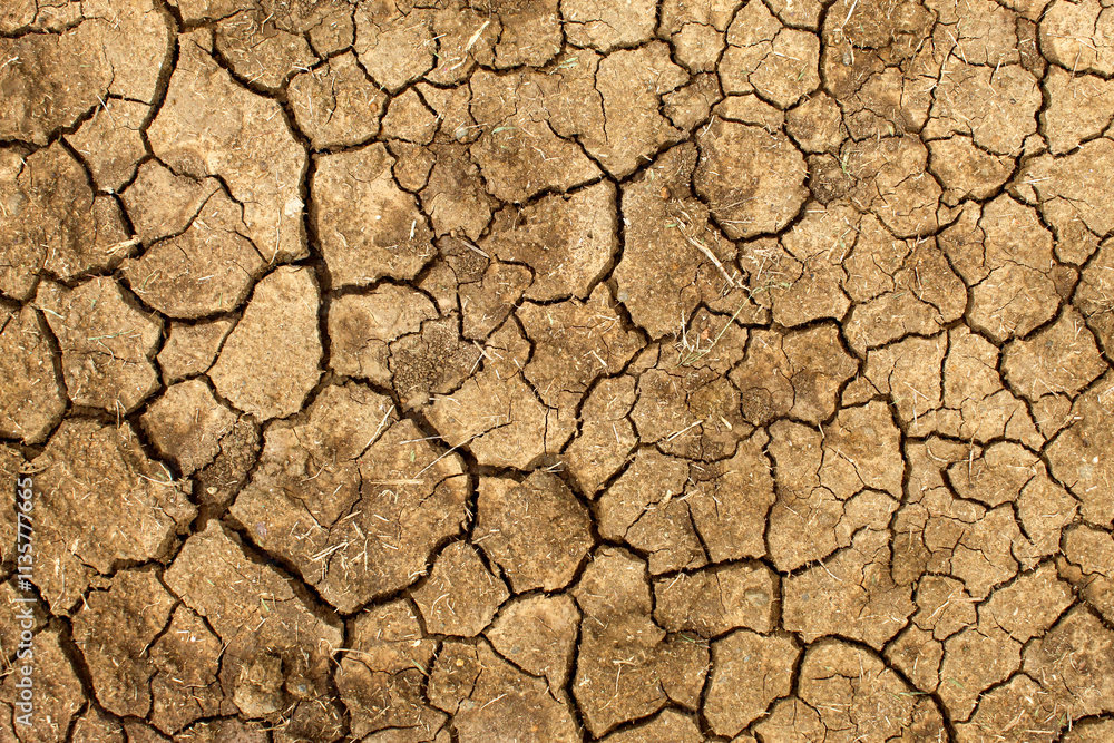 Dry soil texture is cracked. cracked pattern on the soil Dry soil texture is cracked. cracked pattern on the soil