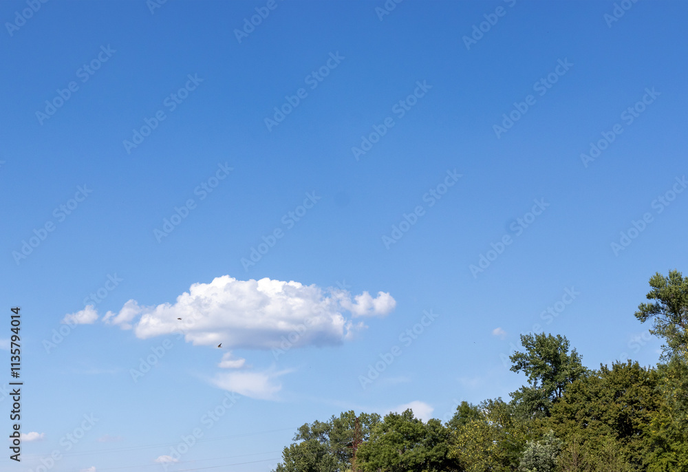 blue sky with clouds against the background of the tops of green trees on a sunny day blue sky with clouds against the background of the tops of green trees on a sunny day