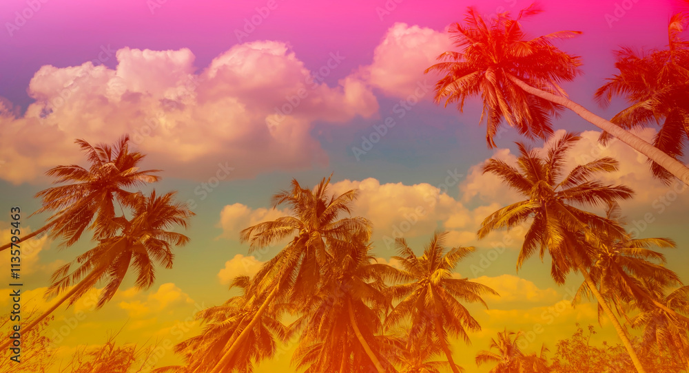 Obraz premium Banner Summer with colorful theme as palm trees background as texture frame background