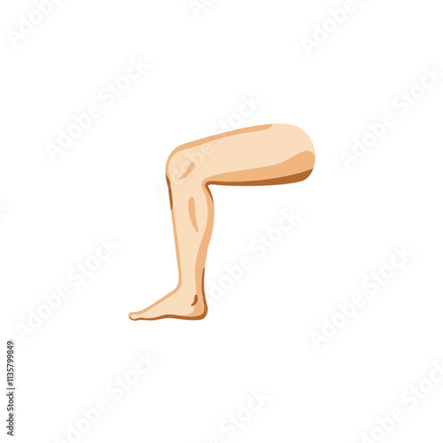 Leg  
