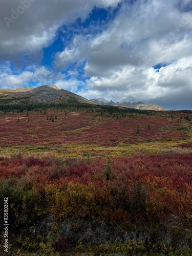 landscape in the mountains