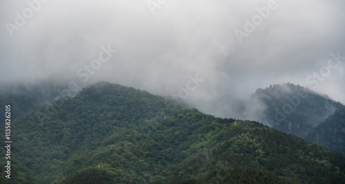 fog in the mountains