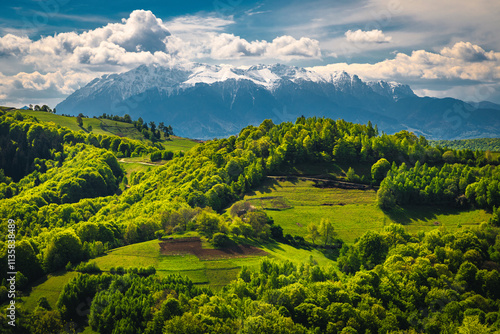 Landscape with fresh green forest on the slope, Holbav, Romania photo