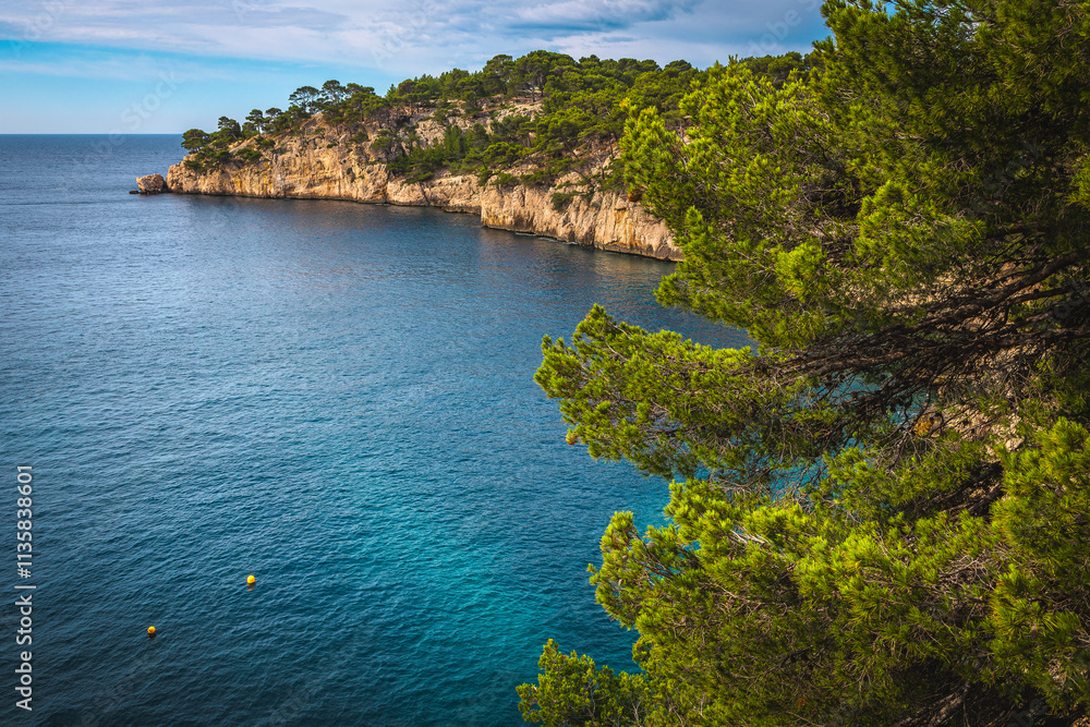 Admirable Calanque de Port Pin bay view, Cassis, Marseille, France