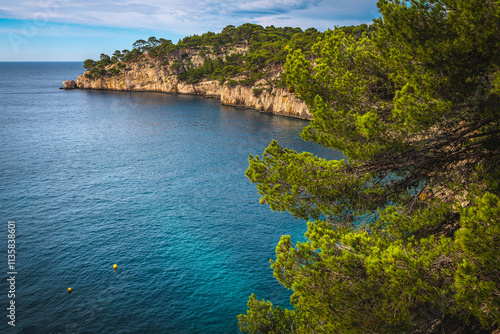 Obraz na płótnie Admirable Calanque de Port Pin bay view, Cassis, Marseille, France w salonie