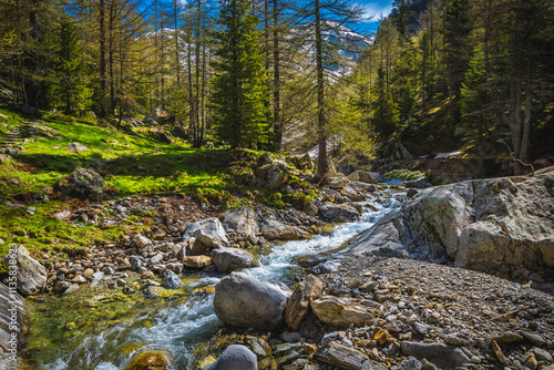 Clean mountain creek in Mercantour National Park, Alpes-Maritimes, France