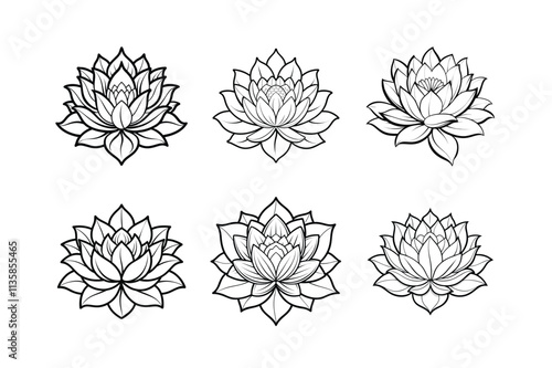 Japanese lotus flower line art vector illustration photo