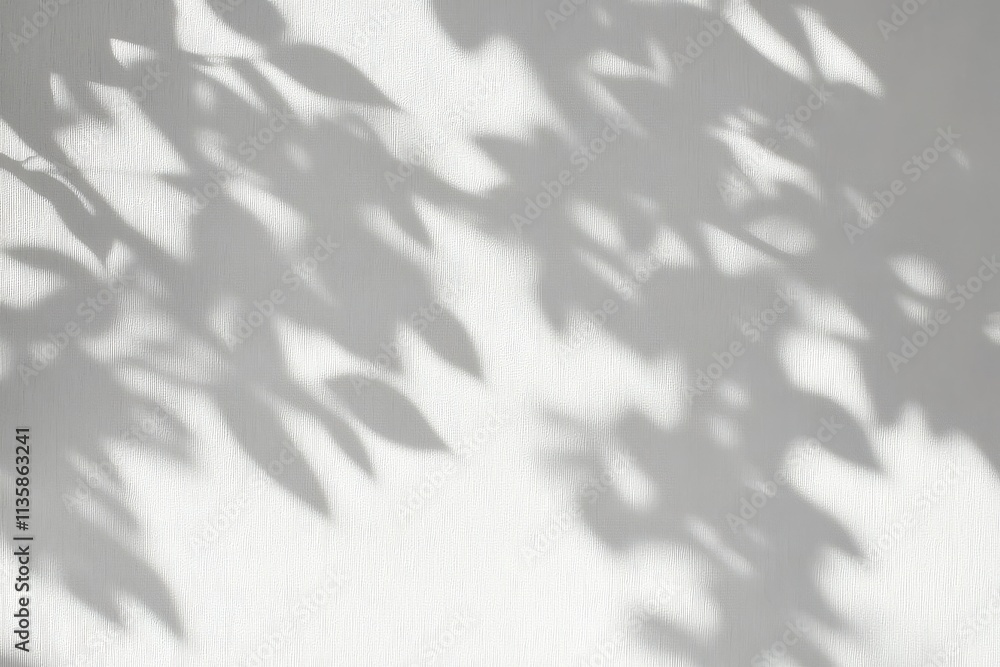 Obraz premium Artistic display of natural leaf shadows on a blank wall backdrop.