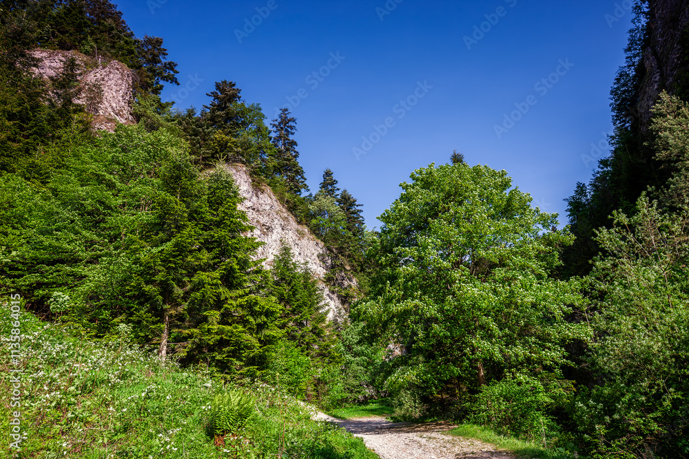 Pieniny. Wąwóz Szopczański. Pieniny. Wąwóz Szopczański.