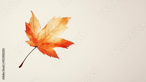 a single leaf that is on a stick in the air photo