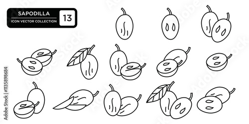 Sapodilla icon collection, editable and resizable vector icon templates.