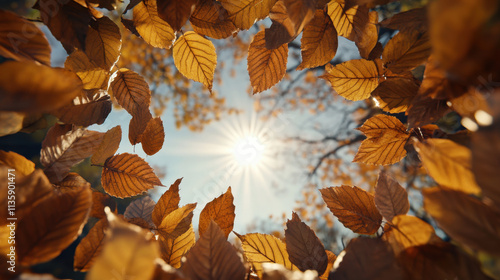 A vibrant view of golden autumn leaves framing a bright sun against a clear blue sky, capturing the beauty of nature in fall.