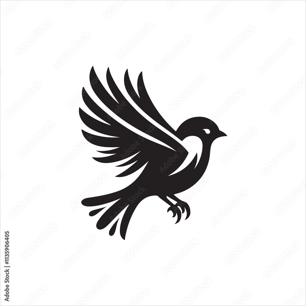 dove on white dove on white