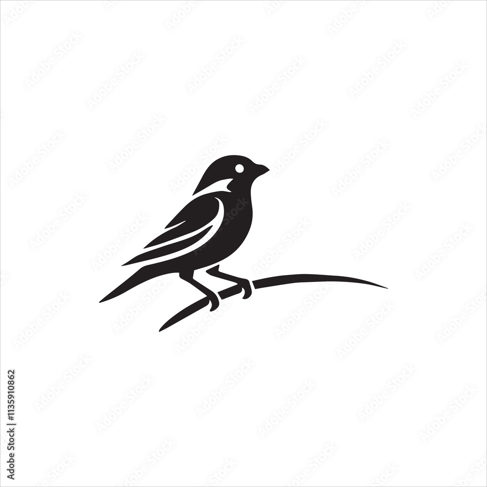 bird on a branch of a tree bird on a branch of a tree